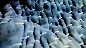 The hottest teen slut in porn gets fucked hard