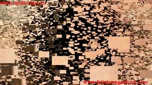 Athing and I are having a little fun on camera