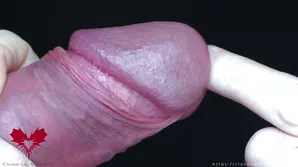 The King of Porn Makes Love in Multiple Positions