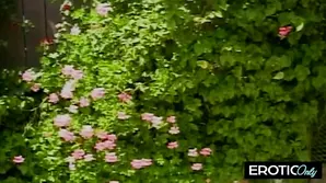 Pretty brunette has anal sex with a young guy