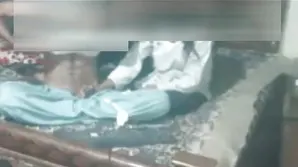 Sex after an entertaining show for a male individual