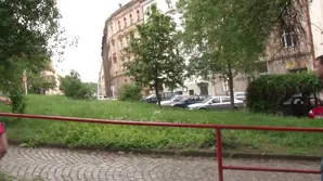 hentai girls fuck each other on the bed