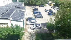 Porn actress feeds her cat with a special treat