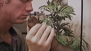 The best erotic videos to make your day unforgettable