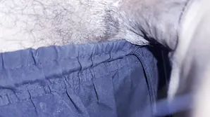 A cute small breasted girl got her pussy railed by a guy